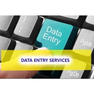 Data Entry